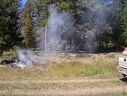 Cayuse Horse Pasture following Cayuse Fire.