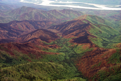 Aerial view of the mosaic of burned conditions resulting from the Witch Fire of 1999.