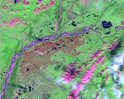 Landsat satellite imagery of the 88,000 acre Uvgoon2 Fire.