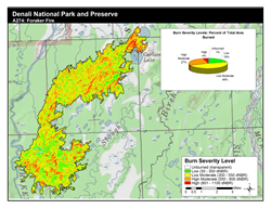 Burn severity map of the Foraker Fire.