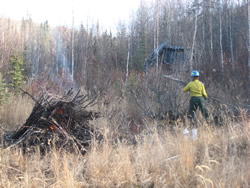 Fire staff builds hazard fuel piles.