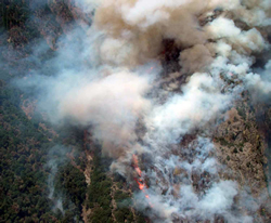 Aerial view of Tehipite Fire.