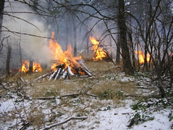 Burning hazardous fuels piles.