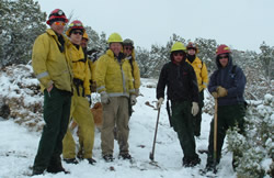BLM fire and fuels crews.