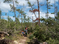 A freshly cleared area of the Limekiln Trail.