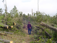 A cleared portion of the Limekiln Trail.