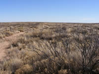 Target Wells Fuels Area after chemical treatments.