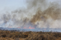 Target Wells Prescribed Fire.