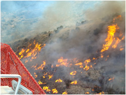 Typical fire behaviors on the Ladrone Prescribed Burn.