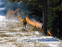Firewise Lead crew member burning slash piles.
