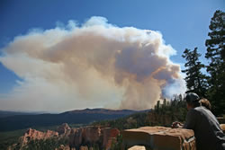 A visitor observes the prescribed fire smoke plume from an overlook.