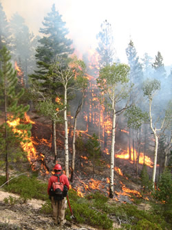 Puma Prescribed Fire.