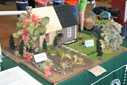 Firewise landscaping model.