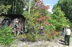 Chainsaw operations training.