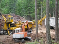 Woody biomass utilization operation.