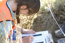 A Teton County fifth-grade student records the number and size of bitterbrush and sagebrush.