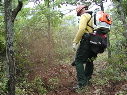 A firefighter creates fireline with a leaf blower.