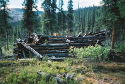 Cabin ruins in Yukon-Charley Rivers National Preserve.