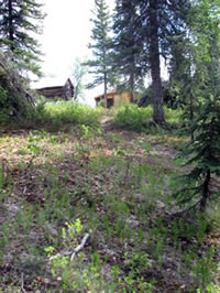 Giddings Cabin in Noatak National Preserve after Firewise project.