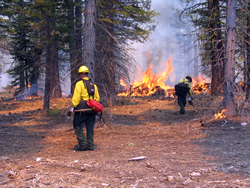 Firefighters igniting the burn.