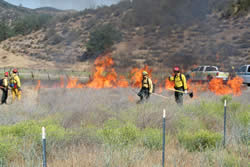 Crews ignite the 130-acre Bottomlands Prescribed Fire at Pinnacles National Monument.