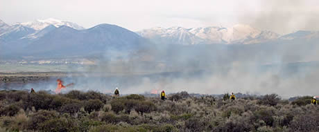 Firefighters lighting the prescribed fire.