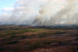 The new fire station's covered engine bay housing two wildland fire engines.