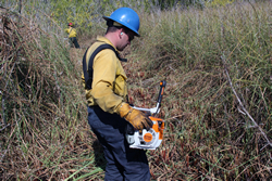 PFTC students use weedeaters to cut fireline.
