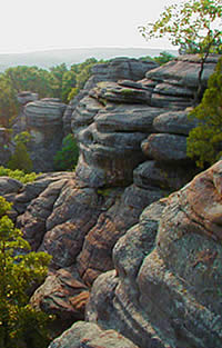 Bluffs on the Shawnee National Forest.