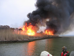 Prescribed fire and smoke.