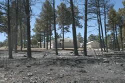 The burned area around the Roberts' home.