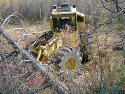 Equipment mulching vegetation.