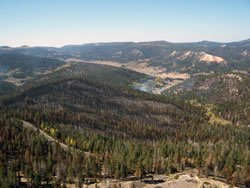 Aerial view of the Puma prescribed fire.