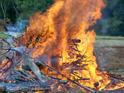 A pile burning at Petersburg National Battlefield.