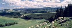 Bighorn National Forest scene.