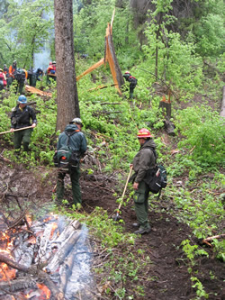 Interagency firefighters cut line and fall trees around a pile burn.