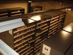 Parts shelves within the Parts Distribution Center.