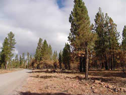 Control lines used in Egley Fire.