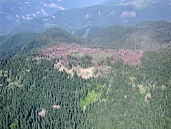 Chucksney Meadow Post-burn.