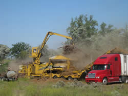 Heavy equipment places biomass into a tub grinder.