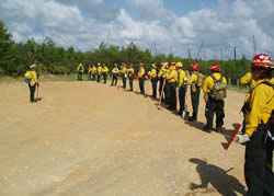 Firefighters lined up listening to basic wildland fire training instruction.