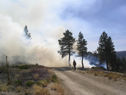 Blacklining along park boundary road.