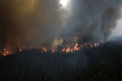 The flaming front of the Shanta Creek Fire.
