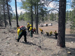 Students practice clearing fireline.
