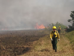 Firing Boss Jennifer Adams inspects the holding line at the edge of the burn.