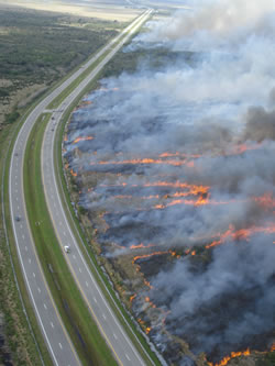 Visibility remains clear along Florida State Highway 50 during a prescribed burn.