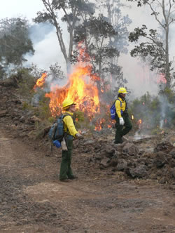Firefighters monitoring a fireline.