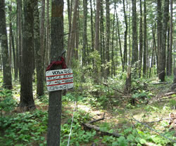 Conditions immediately prior to growing season burning in 2007.