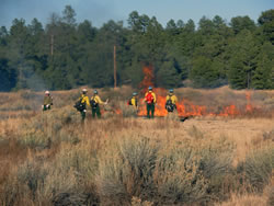 NPS and U.S. Forest Service crews monitor fire activity near an archeological site.