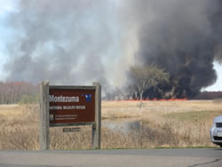 Cattails burn on refuge lands in Seneca Falls, New York.